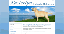 Desktop Screenshot of labradors.kasterlyn.com